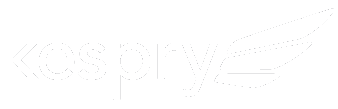 drone logo
